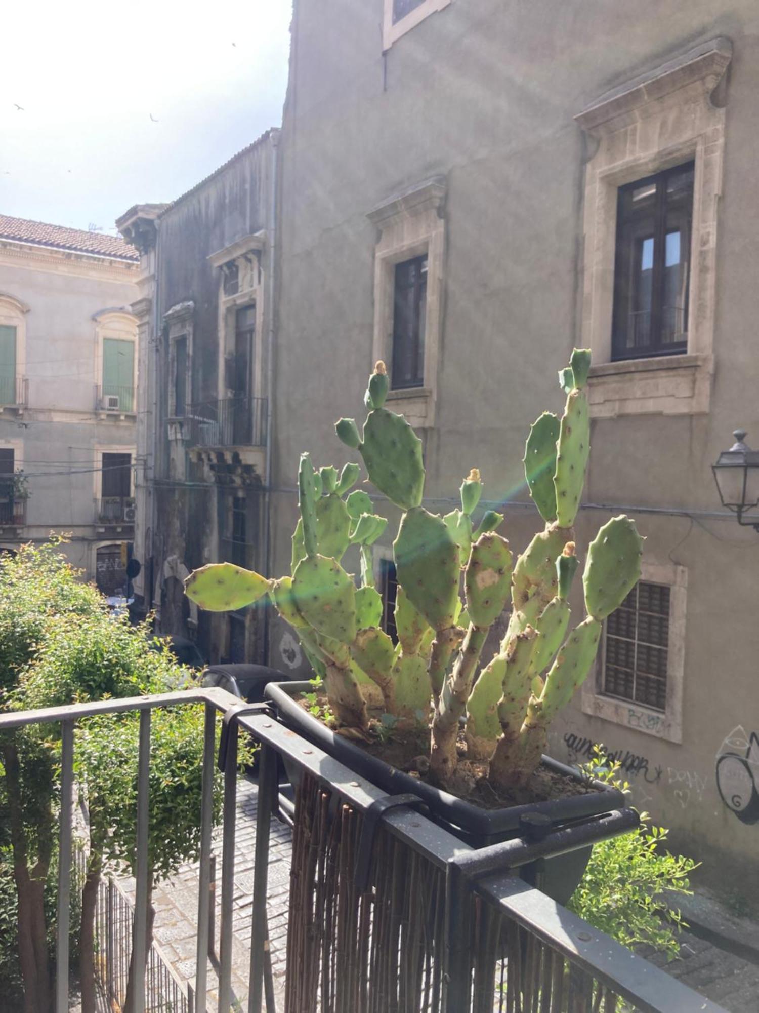 Aita Domus Apartment CTA Exterior photo